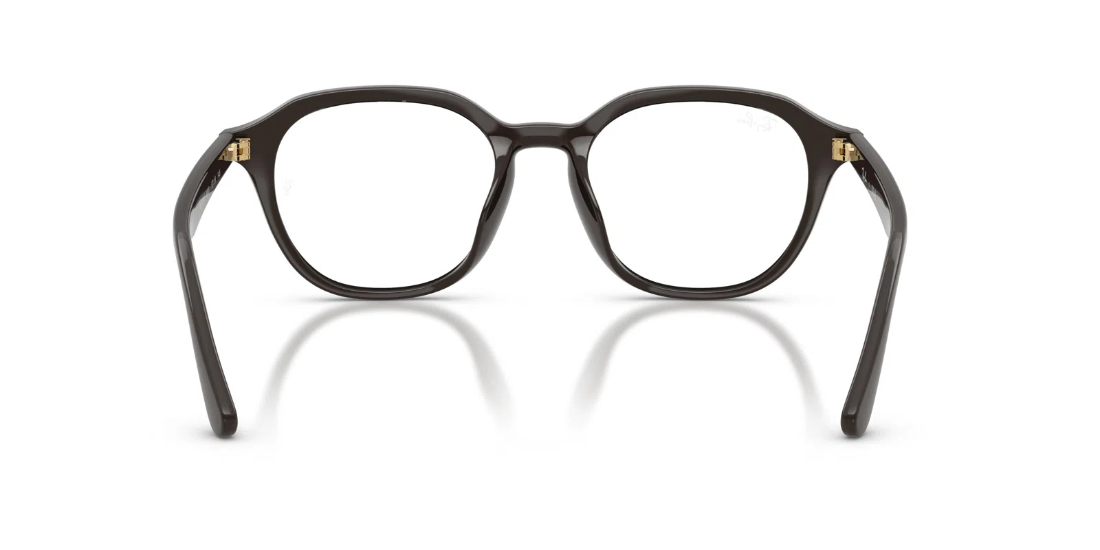Ray-Ban 7259D Eyeglasses - view 45
